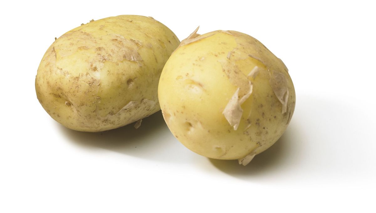 Noirmoutier Potato